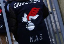 Ispezione nel reggiano dei NAS di Parma: sanzioni e sequestri