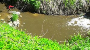 Sversamento di reflui nel torrente Rio Manlio: allevatore denunciato