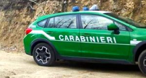 Gestione di rifiuti non autorizzata: due persone denunciate dai carabinieri forestali