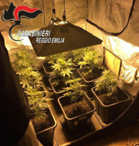 Trasforma la soffitta in serra per la coltivazione di marijuana: arrestato dai carabinieri