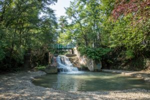 Domenica 1 dicembre al via la piantumazione di 1.065 nuove piante al parco delle Acque chiare