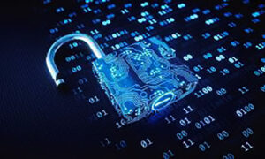 Devia i bonifici dell’azienda sul proprio conto corrente: arrestato