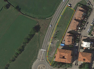 Casalgrande: piantano centocinquanta alberi e la chiamano “piantumazione forestale”