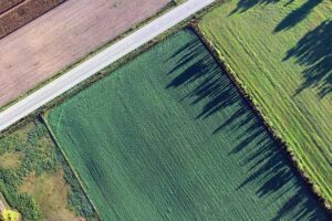 Casalgrande ha “sottratto alla cementificazione” ben “5mila mq”: insomma una strisciolina di terra di 50 metri per 100
