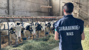 I NAS di Parma sanzionano un allevamento irregolare a Reggio Emilia