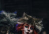 Al Teatro Valli “Cats”, il musical dei record e delle innumerevoli repliche