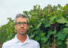Luca Soliani, “Vendemmia, qualità eccezionale ma in forte calo la produzione”