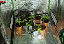 Controlli antidroga in centrocittĂ , fermato un pusher in pieno pomeriggio