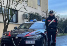 Minaccia i Carabinieri aizzando il proprio rottweiler: fermato con il taser