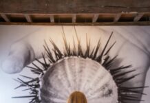 Fotografia Europea. Oltre 55mila presenze nelle mostre