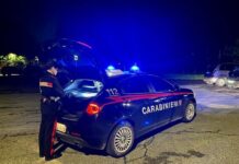 Strappa una catenina durante il Festival “Elrow Town” di Reggio Emilia: arrestato alla RCF Arena