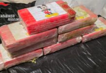 Reggio Emilia crocevia del narcotraffico internazionale: i Carabinieri smantellano la rete dominicana che inondava il Nord e Centro Italia di cocaina pura all’80%